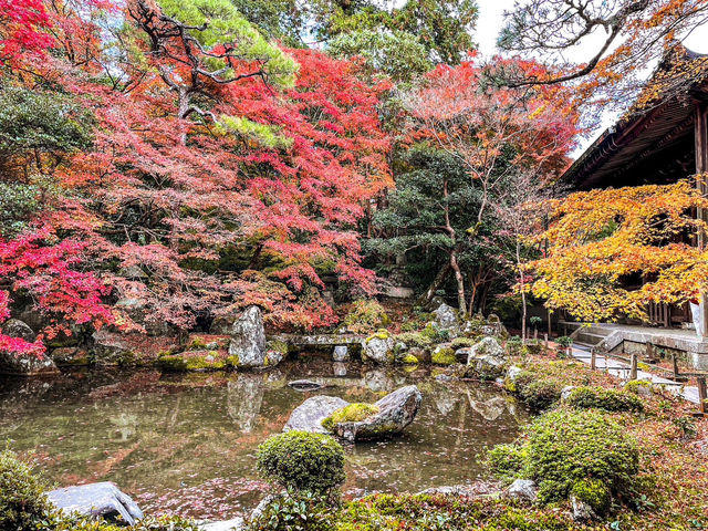 【京都】庭園のある絶景紅葉の穴場スポット