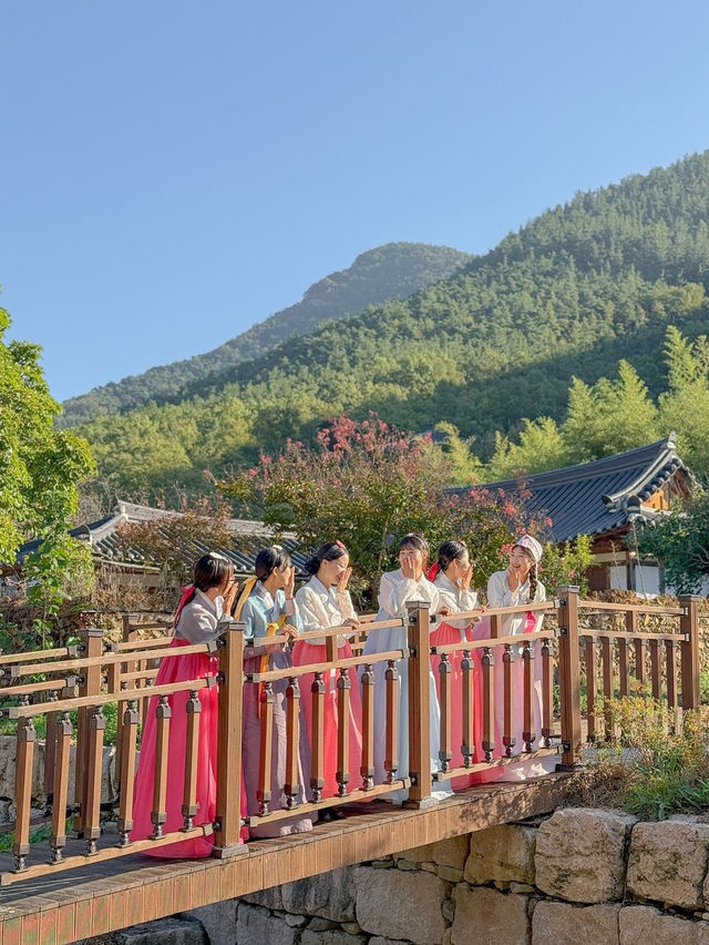 아름답게 물들 가을이 기대되는 대구 동구 여행🤎