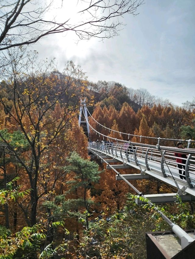 인생샷 포토존이 있는 대전 가을여행