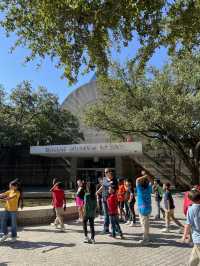 ［達拉斯旅遊］The Dallas Museum of Art-不能錯過的博物館🖼️