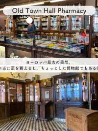 【エストニア】タリン日帰り観光のモデルルート紹介🇪🇪