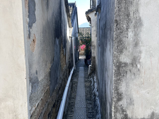 深圳古城一日遊✨大鵬所城✨
