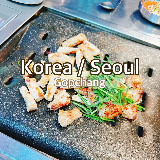 【韓国/ソウル】江南で食べるコスパ◎ホルモン焼