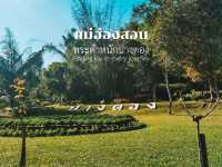 พระตำหนักปางตอง แม่ฮ่องสอน ชมวิวสวย สัตว์น่ารัก 