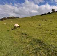 Seven Sisters Cliff
