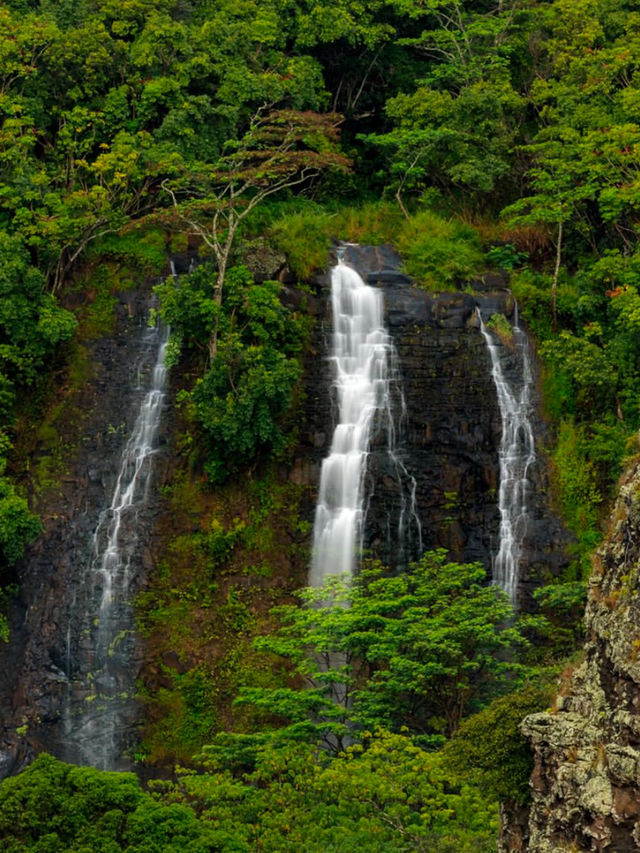 Why Everyone is in love with Kauai🥰