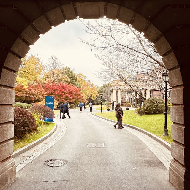 🍁上海紅葉🍁