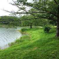 駕與丁公園，一年四季充滿自然美的地標