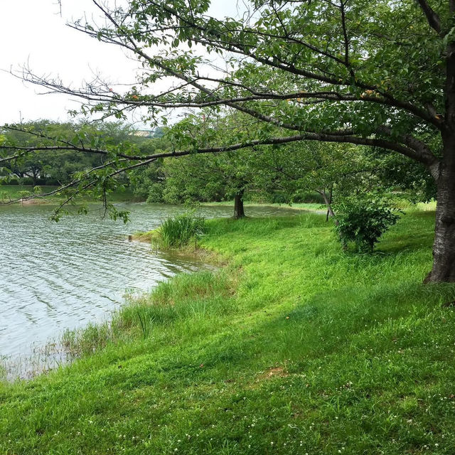 駕與丁公園，一年四季充滿自然美的地標