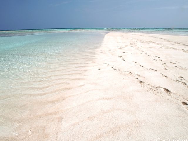 【鹿児島・与論島】天国に一番近いビーチ！？絶景「百合ヶ浜」