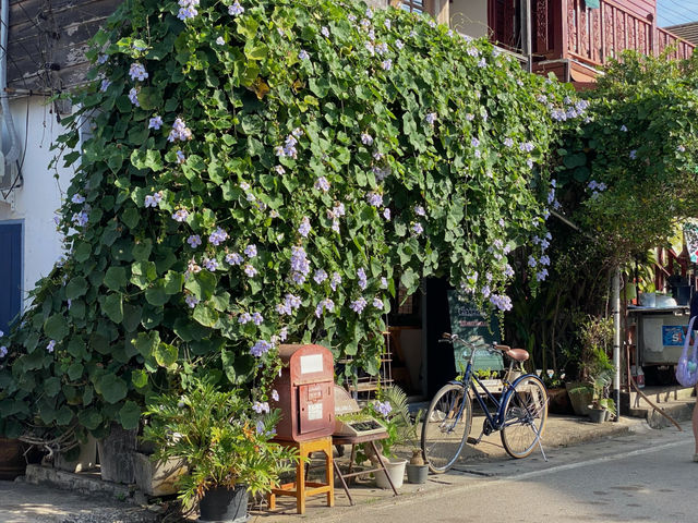 เมืองละเมอ เชียงคาน Space & Stranger House