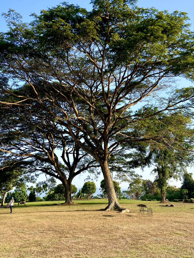 Ratu Boko Castle: Sunset with a View