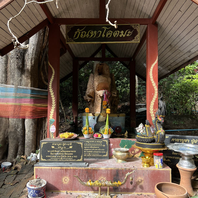 วัดอุโมงค์ (สวนพุทธธรรม) • เชียงใหม่
