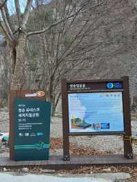 바위포토존 인증샷은 필수인 청송 얼음골❄️