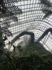 โดมยักษ์ Cloud Forest 🍃