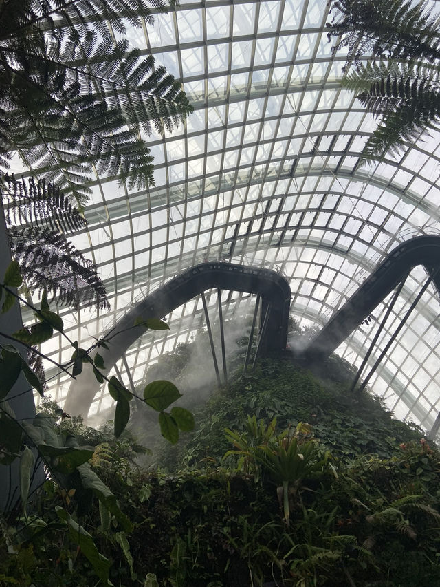 โดมยักษ์ Cloud Forest 🍃