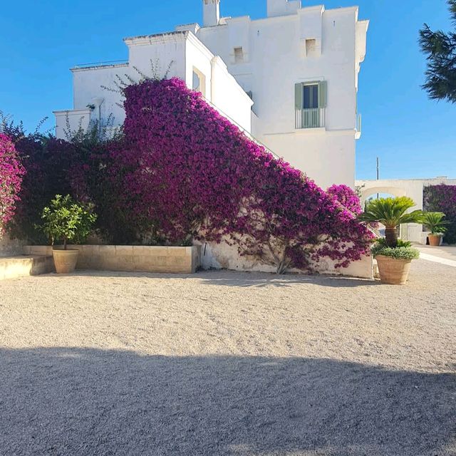 Masseria Torre Maizza, Puglia