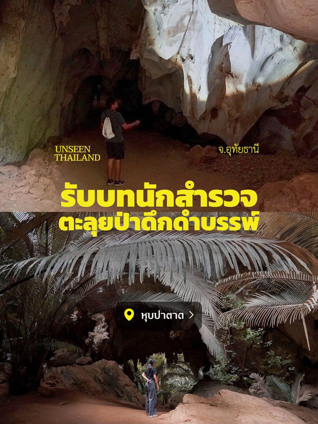 ตะลุยป่าดึกดำบรรพ์ อันซีนไทยแลนด์ จ.อุทัยธานี