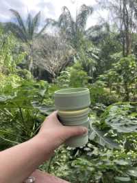 A Morning to Remember: Coffee and Cookies in the Garden