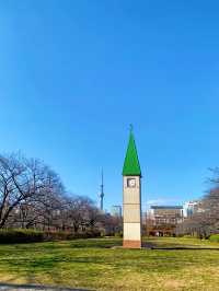 猿江恩賜公園：東京悠閒綠洲的現代樂章