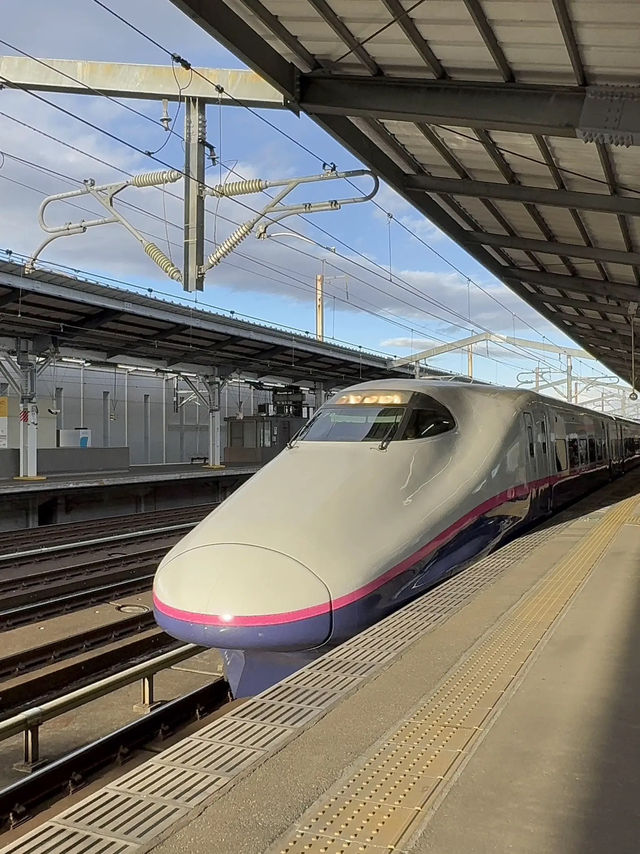 【栃木】かわいすぎる🤍うし柄の改札がある駅🐮