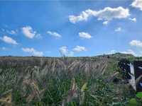 Udo Island