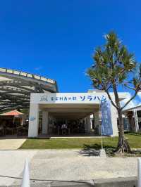 【古宇利島】エメラルドブルーの楽園🩵