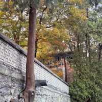 秋日的香山：风景如画，红叶如诗