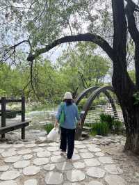 สวน Seoul forest ในฤดูใบไม้ผลิ