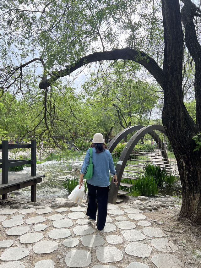 สวน Seoul forest ในฤดูใบไม้ผลิ
