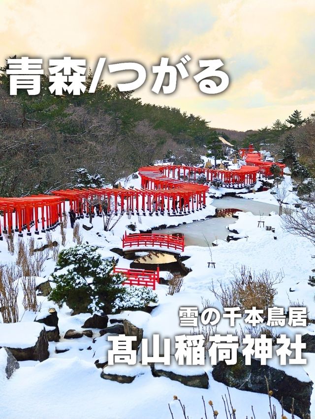 【青森／つがる市】雪の千本鳥居「髙山稲荷神社」⁡