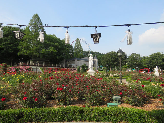 🇰🇷 首爾超美打卡樂園！