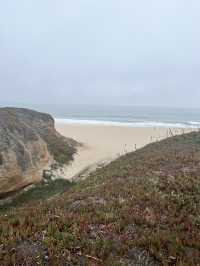 A pristine beach with coastal cliffs!