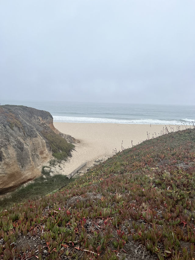 A pristine beach with coastal cliffs!