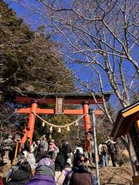 富士山網美打卡一日遊行程 太適合懶人無腦跟著走