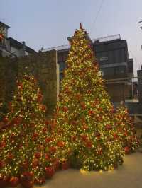 대형 트리가 있어 사진 찍기 좋은 삼다코지🎄🤍