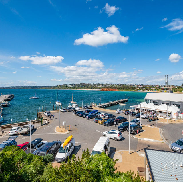 Breathtaking Spring Afternoon in Mornington Peninsula