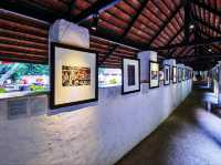 200年的樹@Tamarind Village