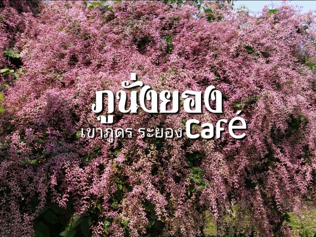 ภูนั่งยองระยอง