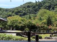 Zen Reverie: Discover Tenryu-ji Temple
