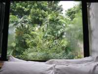 Recharge in Style at Lloyd’s Inn Singapore: A Hidden Gem for Staycations