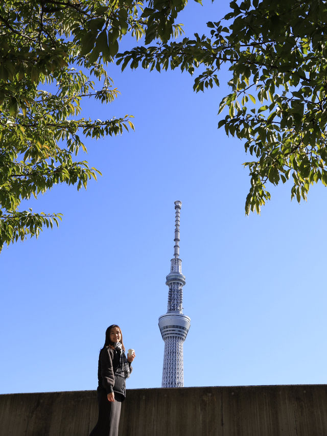 東京市區一日遊 - 晴空塔、淺草寺