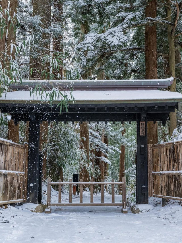 Chuson ji Temple hiarzumi Iwate 