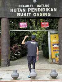 Bukit Gasing: A Hidden Green Escape Near the City