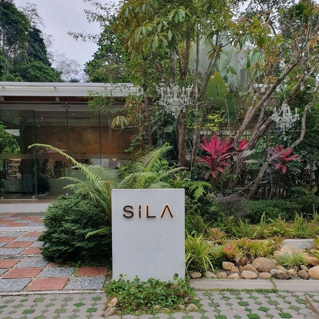 คาเฟ่กลางหุบเขา SILA CAFE ☕️🥤🥐