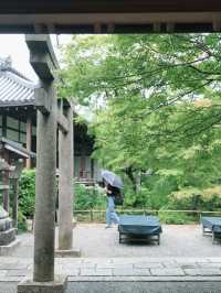 京都常寂光寺參訪體驗：隱藏在嵐山的紅葉秘境