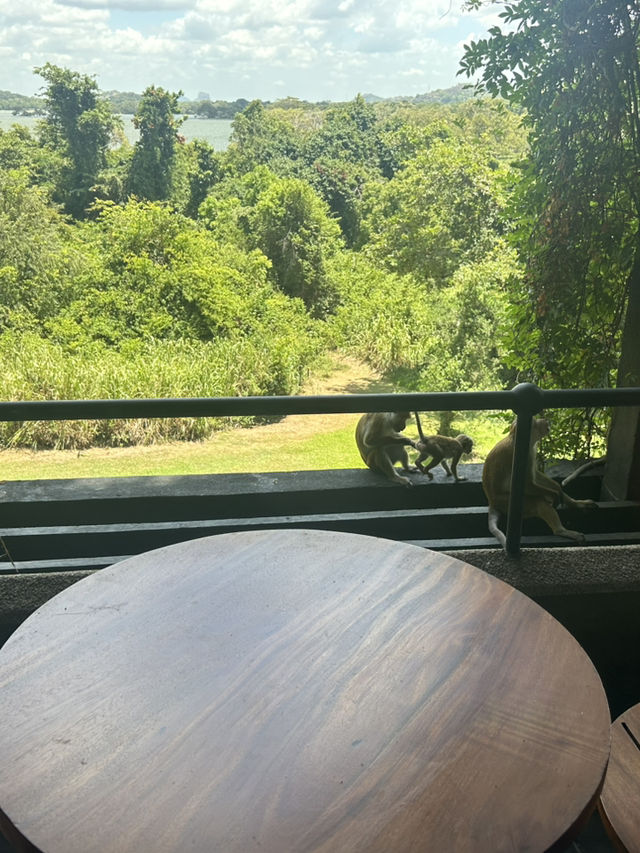 楽しいスリランカ旅行