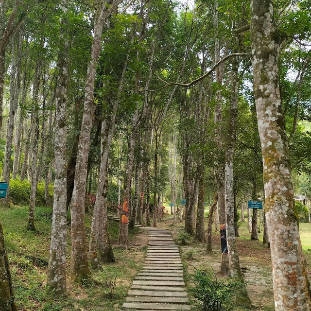 三巴旺公園🌞綠意盎然的“歡樂王國” 🌳🎠