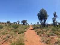 オーストラリア🇦🇺エアーズロック、ウルル