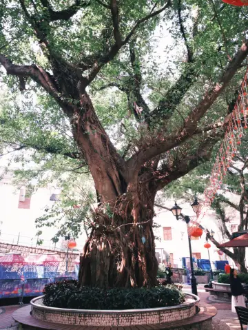 澳門🇲🇴｜小眾的旅遊熱點：亞婆井前地